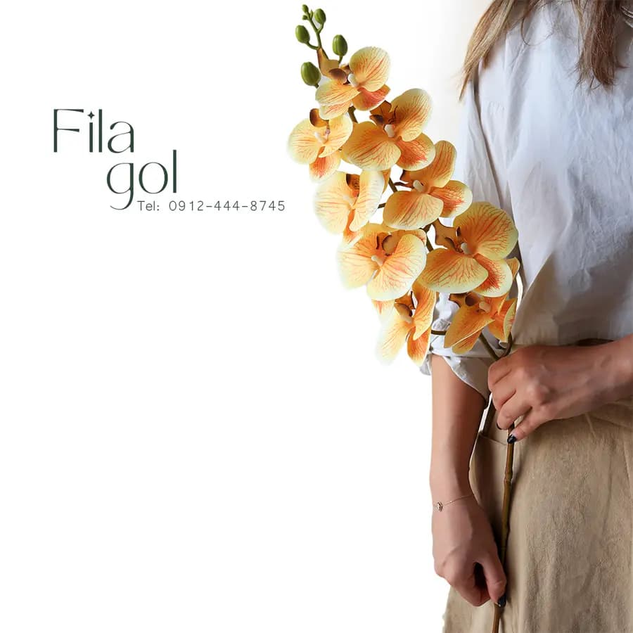 شاخه ارکیده هلویی در دست